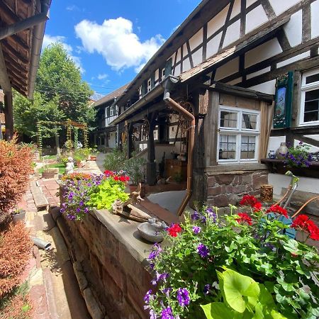 La Ferme De Grand Mere Furchhausen Bagian luar foto