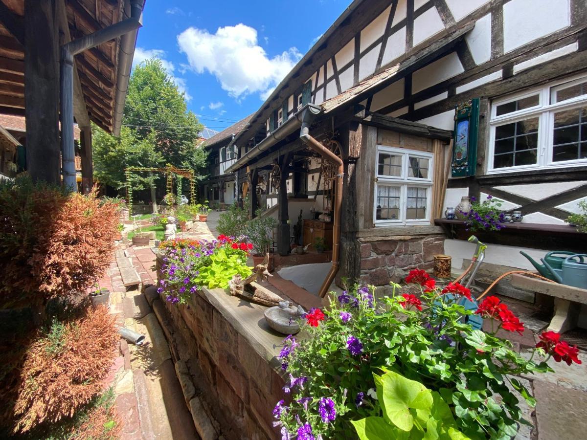 La Ferme De Grand Mere Furchhausen Bagian luar foto